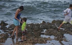 Blowing Rocks Preserve