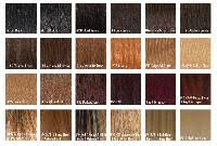 Arrow Exim Offers Human Hair Color Chart Envelopes India
