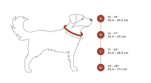 This only serves as a recommendation and does not guarantee the exact fit of the specified size on your dog. Dog Size Chart For Collars Rocky Mountain Dog Calgary Ab