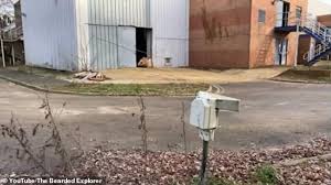 The new centre has a fleet of £10million. Derelict British Airways Training Centre At Heathrow Is Left To Rot Daily Mail Online