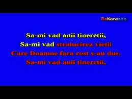 Karaoke fdlb seara asta iara beau versuri. Versuri Floare De Malin