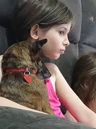 Hi. My name is Lucy and I have O.D.D