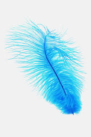 Feather Blue White Nature Minimal Iphone Wallpaper Iphone X Wallpaper 4k White 2869341 Hd Wallpaper Backgrounds Download You can also upload and share your favorite minimalist phone wallpapers. iphone x wallpaper 4k white