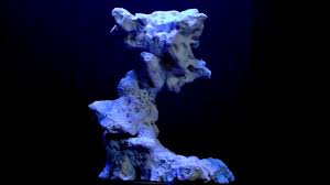 Red wood line rock per kg. Aquascaping Ceramic Live Rock Sculptures By Rra Uk Youtube