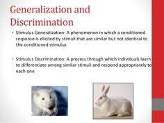 The Top Illustration Showing Examples Of Generalization And Discrimination