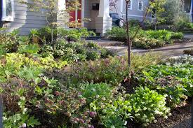 We did not find results for: Early Spring Plants For The Pnw Mosaic Gardens