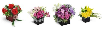 The 10 Best Options For Flower Delivery In Edmonton Flower Delivery Reviews