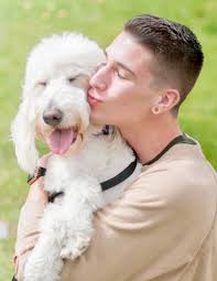 Doodle rescue and animal advocacy in Tampa, FL