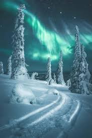 Aurora Boreal Lapland Lapland Finland Winter Scenery
