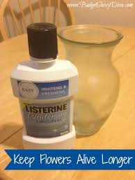 We did not find results for: How To Keep Flowers Alive Longer Budget Savvy Diva