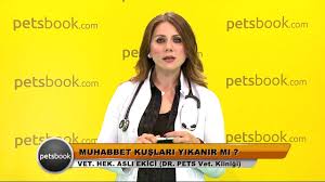 Muhabbet Kuslari Yikanir Mi Youtube