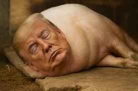 Newsom Trolls Trump With AI Photos After 'Quiet, Piggy ...