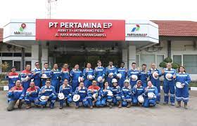 Pt pertamina internasional ep was established due to the need for international assets management of pt pertamina (persero). Tingkatkan Sinergi Skala Internasional Pertamina Ep Terima Kunjungan Duta Besar Sembilan Negara Pertamina
