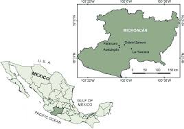 Michoacán se pinta de rojo por la alta incidencia delictiva. Map Of Michoacan Mexico Showing Areas Where Big Leaf Mahogany Trees Download Scientific Diagram