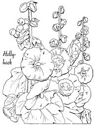 15 flower coloring pages for adults all unique the graphics fairy
