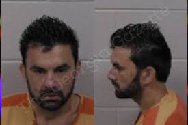 Harry Guy — Paulding County Jail Bookings