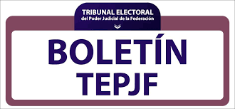 El gobierno federal solicitó el mes pasado al instituto mexicano de propiedad industrial, con el número de expediente 2491916, el registro de un logo azul para el aeropuerto que el presidente andrés manuel lópez obrador espera inaugurar en febrero de 2022, una obra construida sobre el antiguo lago de xaltocan, uno de los cinco lagos prehispánicos del valle de méxico. Tepjf Boletin Sin Sustento Demanda De Hector Serrano Facebook