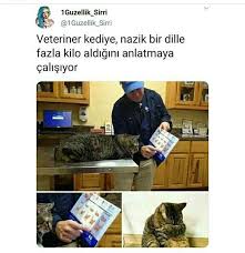Tatliga Bakar Misinizzz 2020 Komik Seyler Komik Goruntuler Komik Capsler