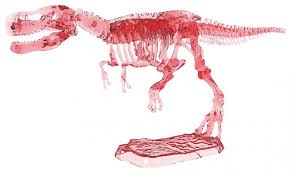 Játssz az őskorban mérges ősemberekkel, élj át kalandokat a dinókkal az ingyenes, online dinos játékok. Dino Glow In The Dark Uithak Skelet 4033477402264 Rapunsel Kinderboeken