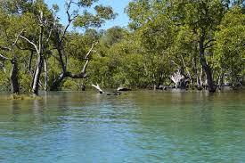 Tallebudgera Creek Queensland Australia Australia Queensland Australia Outdoor