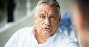 Tóth Bertalan hírek