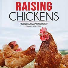 Check out how these simple steps can help you and your family start enjoying healthy breakfast eggs. Amazon Com Raising Chickens The Complete Guide To Raising Backyard Chickens Choosing Breed And How To Organize The Coop Audible Audio Edition James Barley Debbie Fisher James Barley Audible Audiobooks