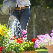 Lighten this summer's weeding workload by building beautiful gardens in planters, steel tubs upcycle an old, rusty ladder by adding a fresh coat of paint and a medley of planters, flower pots attach clay pots to a pallet with nails and stainless steel cable ties for a living art display that keeps. Patio Pleasers 10 Tips For Summer Plant Pots That Will Flower All Season Long
