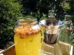 Kostlichen Wasserkefir Mit Getrockneter Physalis Herstellen Ein Erfahrungsbericht Ausfuhrliche Erfahrungsberic Kombucha Gesunde Rezepte Getranke Alkoholfrei