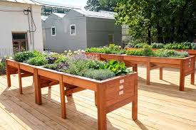 We want to plant herbs and vegetables which need full sun, so narrows down the areas which we can use. How To Start Your Own Herb Garden Gardener S Path