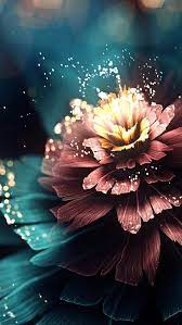 Hd Iphone Wallpaper Flower Phone Wallpaper Flower Wallpaper Beautiful Wallpapers