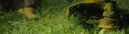 Learn about business insurance for lawn care professionals and compare quotes from top carriers with an easy online application from insureon. Lawn Care Insurance Cost And Coverage Next Insurance