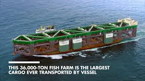 Last weekend the boskalis vanguard arrived at norway to prepare for the float off operation of the johan sverdrup processing topside. Boka Vanguard Record Breaking Transport Youtube