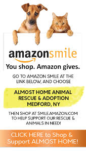 Great sites have pet in sioux falls are listed here. Almost Home Adoption Off 74 Www Usushimd Com
