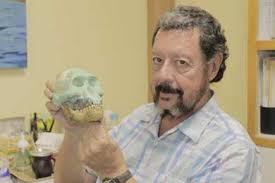 Realizan modelo del cráneo de Lucy