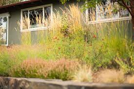 We did not find results for: Feather Reed Grass Modern Landscape Other By Regenesis Ecological Design Houzz