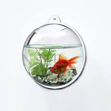 Uniknya, penggunaan ini memungkinkan pemegang tiket tersebut bisa mengunjungi akuarium itu kapan saja di masa depan. Aquarium Dinding Aquarium Bulat Aquarium Unik Aquarium Minimalis Aquarium Tempel Aquarium Ikan Shopee Indonesia