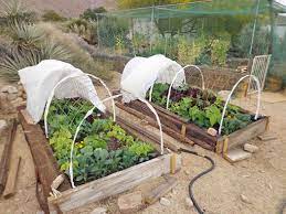 1 move all bird feeders away from the vegetable garden. Row Covers Can Protect Your Crops All Year Round Lawneq Blog