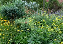 A pollinator garden is planted and designed, with specific nectar and pollen producing plants, in a way that attracts pollinating insects known as pollinators. Register Now For Spring Pollinator Workshops Garden Tours Nc State Extension