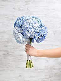 Wedding Flower Power The Heavenly Hydrangea Wedding Flower Guide Hydrangea Bridesmaid Bouquet Blue Hydrangea Bouquet