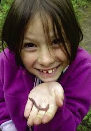 NRF 2007 Annual Report