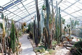 Etwa 10.000 pflanzenarten wachsen auf dem gelände am rande des großen gartens. Ein Rundgang Durch Den Botanischen Garten Botanischer Garten Tu Dresden