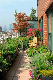 8 Cute Small Gardens And Outdoor Spaces Small Balcony Garden Apartment Garden Small Backyard Gardens