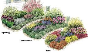 Image Result For Fantasia Mums Perennial Garden Plans Flower Garden Plans Flower Garden Design