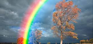 السوريون  وظاهرة  قوس  القزح!