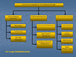 Organizational Chart Hierarchy Of A Housekeeping Department