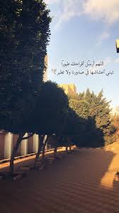 أمين يارب العالمين arabic quotes beautiful arabic words inpirational quotes