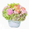 When sending flowers to using direct2florist, you can see and choose your local florist delivering flowers to miami gardens. Miami Florist Flower Delivery By Avant Gardens