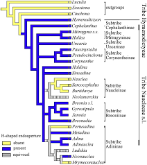 Image result for Burttdavya
