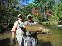 King Salmon Facts and Life Cycle – Troutster.com – Fly Fishing ...