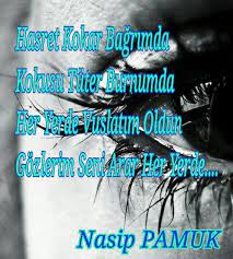 Hasret Kokar Bagrimda Kokusu Tuter Burnumda Her Yerde Vuslatim Oldun Gozlerim Seni Arar Her Yerde Pamuk Gozler Seni